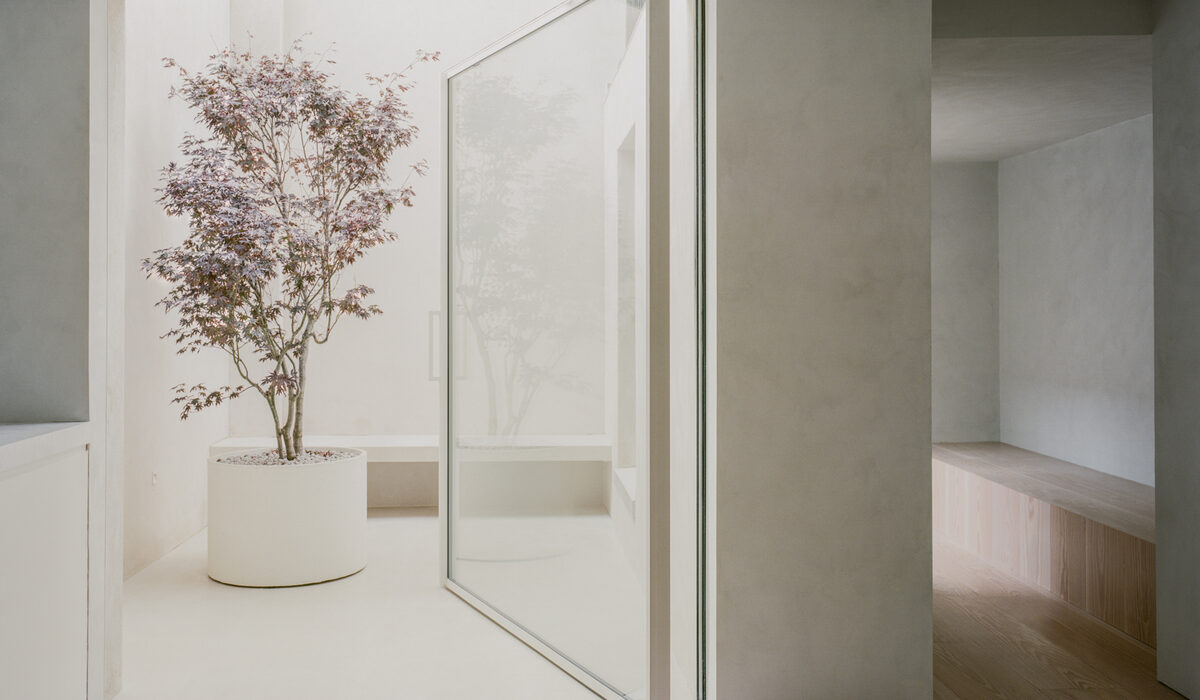minimalism in automated pivot doors